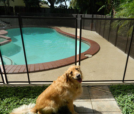pool safety pet fence installation in Oklahoma